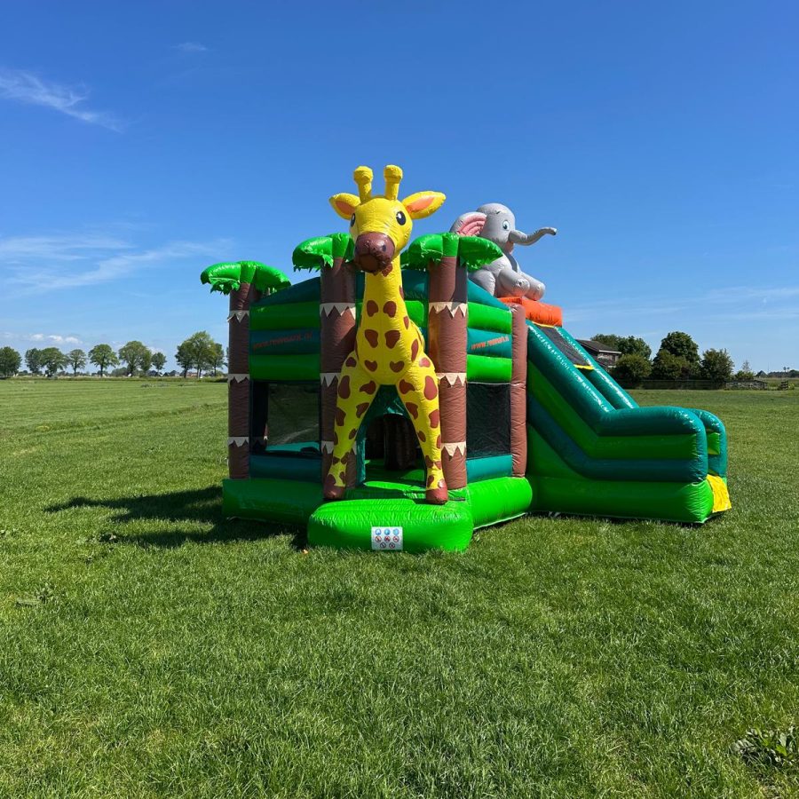 Jungle multifun
